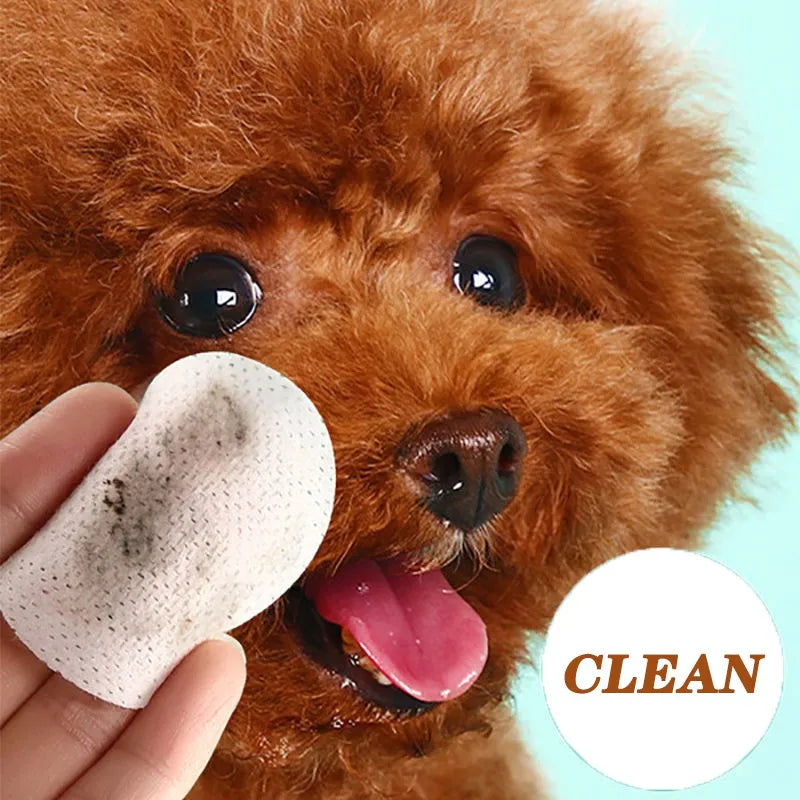 Lingettes humides pour yeux de chiens